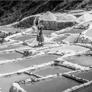 Fleur de sel
